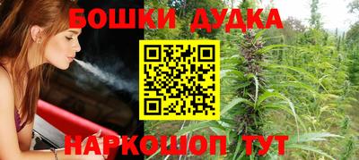 гидра Майкоп