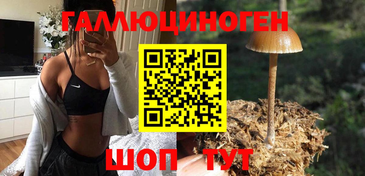 даркнет сайт  Вход с VPN  Нижневартовск  Галлюциногенные грибы Psilocybe 